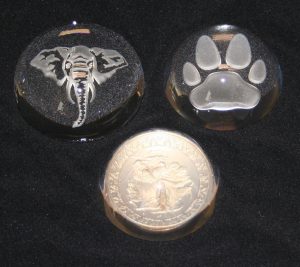 domed-paperweights-ellie-head-paw-print-and-coin